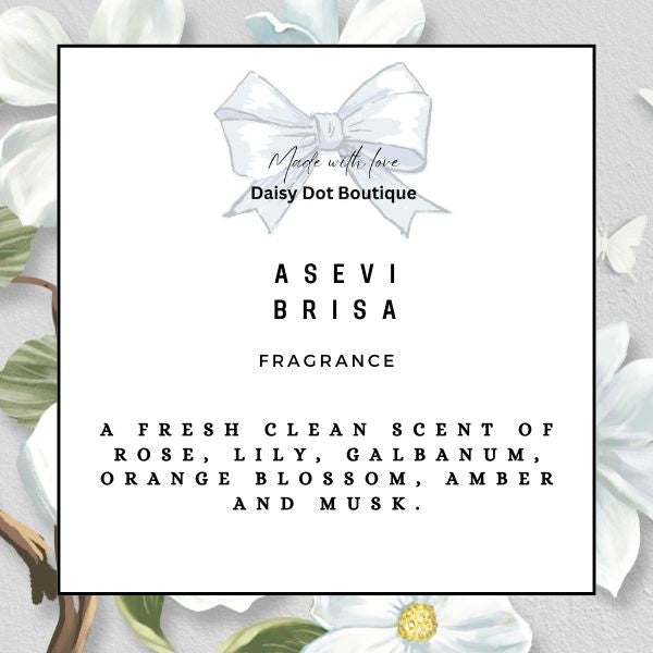 Bin Fresh Disks - Pack of 6