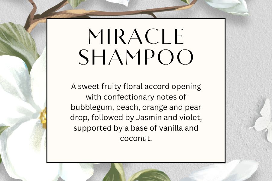 Shampoo and conditioner 100 ml bottle TWO FOR £8